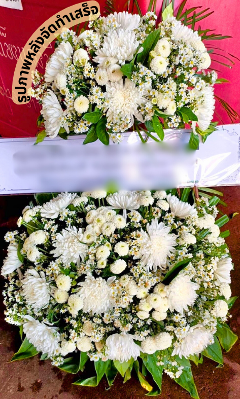 ร้านพวงหรีด กาฬสินธุ์
ส่งพวงหรีดดอกไม้สด
〈 วัดโพธิ์ชัยสงยาง ต.กมลาไสย อ.กมลาไสย จ.กาฬสินธุ์ 〉